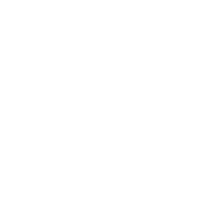 vapejoy-logo